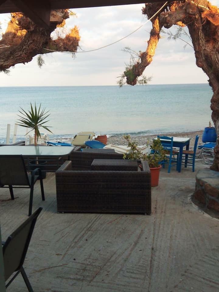 Beachfront Kato Appartement Káto Zákros