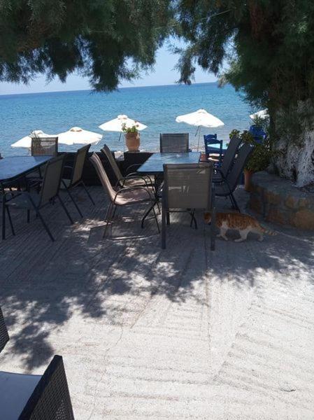 Beachfront Kato Káto Zákros